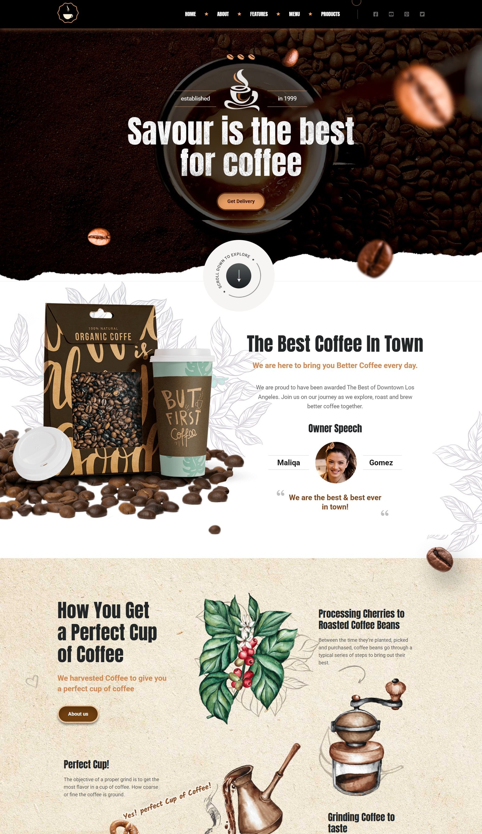 موقع الكتروني كافيه